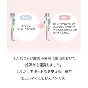 腰の保護安定サポート まもり帯 | 犬印本舗の...の詳細画像3