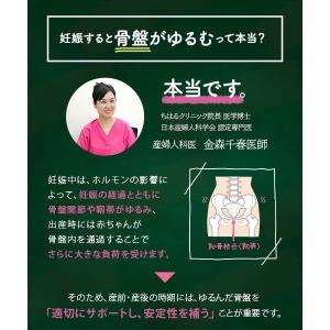 鼠径部フリー骨盤パンツ妊婦帯 | 犬印本舗の妊...の詳細画像3