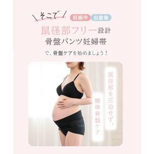鼠径部フリー骨盤パンツ妊婦帯 | 犬印本舗の妊...の詳細画像5