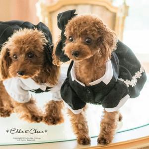 アリスのブラックドレスの商品画像