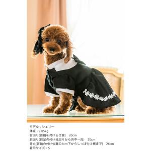 アリスのブラックドレスの詳細画像1