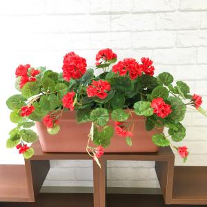 ゼラニウム造花プランター フラワーアレンジメント の商品一覧 花 ガーデニング 通販 Yahoo ショッピング