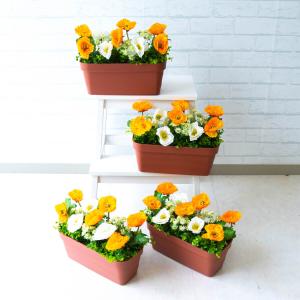 造花プランター フラワープランター フェイクグリ...の商品画像