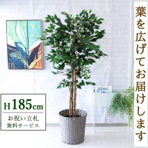 ☆立札無料☆【すぐ飾れる】 フェイクグリーン 人工観葉植物