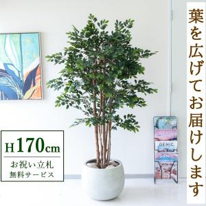 ☆立札無料☆【すぐ飾れる】 フェイクグリーン 人工観葉植物