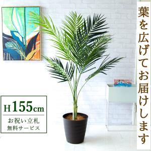 ☆立札無料☆【すぐ飾れる】 フェイクグリーン 人工観葉植物