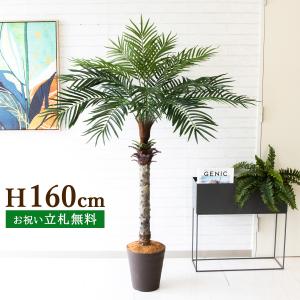 H約160cm 人工 観葉 植物 フェイク グリーン 造花 店舗 装飾 大型 ２分割【PG212-B240BR フェニックスパームツリー(ヤシの木) H約160cm/ポリプロピレン鉢 】