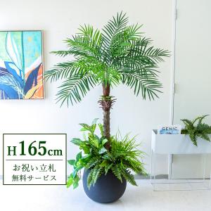 人工観葉植物 約170cm ヤシ Amazon｜竹ヤシの木 165cm 人工観葉植物 フェイクグリーン 観葉