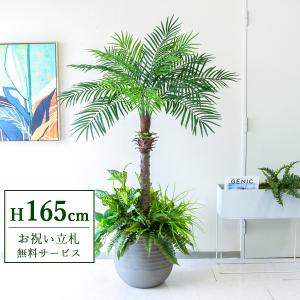 ☆立札無料☆【すぐ飾れる】 フェイクグリーン 人工観葉植物