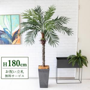 神戸花物語 メーカー直送｜人工観葉植物 大型 フェニックス 
