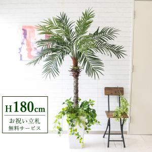 ☆立札無料☆【すぐ飾れる】 フェイクグリーン 人工観葉植物