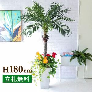 H約180cm 人工 観葉 植物 フェイク グリーン 造花 装飾 大型 ２分割【PG212-Q25WH-UG1-UF2 フェニックスパームツリー(ヤシの木) H約180cm/プラスチック樹脂鉢】｜0101pp-shop