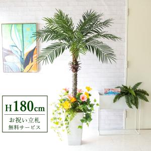☆立札無料☆【すぐ飾れる】 フェイクグリーン 人工観葉植物