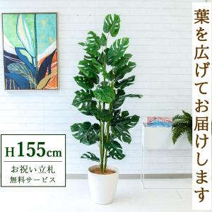 ☆立札無料☆【すぐ飾れる】 フェイクグリーン 人工観葉植物