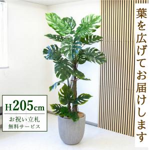 ☆立札無料☆【すぐ飾れる】 フェイクグリーン 人工観葉植物