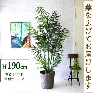 ☆立札無料☆【すぐ飾れる】 フェイクグリーン 人工観葉植物