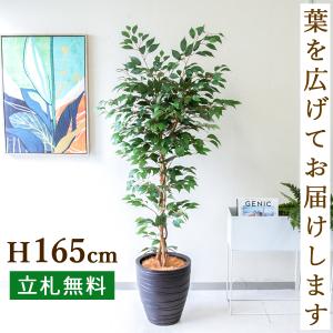 フェイクグリーン フィカス ベンジャミン H約135cm 鉢付き / 観葉植物 