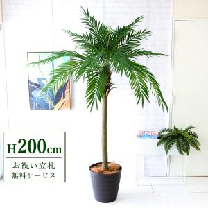 ☆立札無料☆【すぐ飾れる】 フェイクグリーン 人工観葉植物