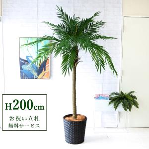 ☆立札無料☆【すぐ飾れる】 フェイクグリーン 人工観葉植物