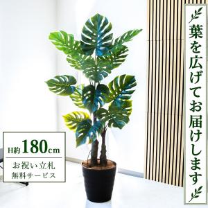 ☆立札無料☆【すぐ飾れる】 フェイクグリーン 人工観葉植物 