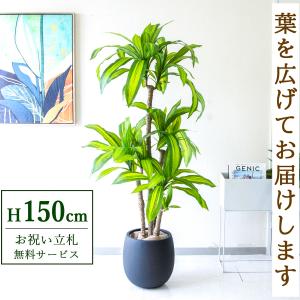 ☆立札無料☆【すぐ飾れる】 フェイクグリーン 人工観葉植物