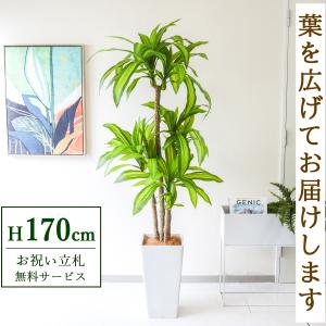 ☆立札無料☆【すぐ飾れる】 フェイクグリーン 人工観葉植物