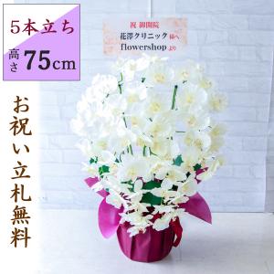 造花 胡蝶蘭/白(ホワイト)/3本立ち/ブラウンラッピング/お祝い花 開店
