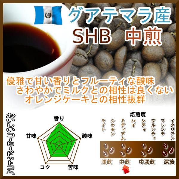 コーヒー豆 グアテマラ コーヒー SHB 中煎 中挽き 500g Qグレード スペシャルティコーヒー...