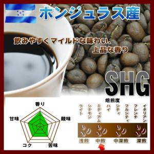 コーヒー豆 ホンジュラス SHG 500g コーヒー 中煎  ホンデュラス 珈琲 珈琲豆 50杯分｜014151.comヤフー店