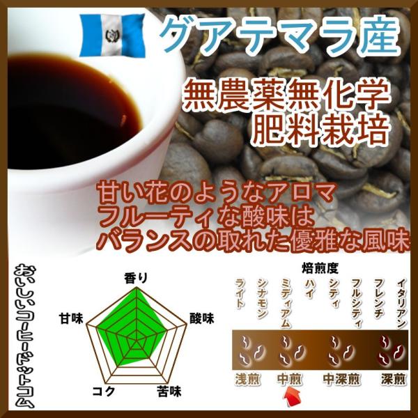 コーヒー豆 グアテマラ 無農薬無化学肥料栽培 Qグレード 中煎 ミディアム 中挽 500g レギュラ...
