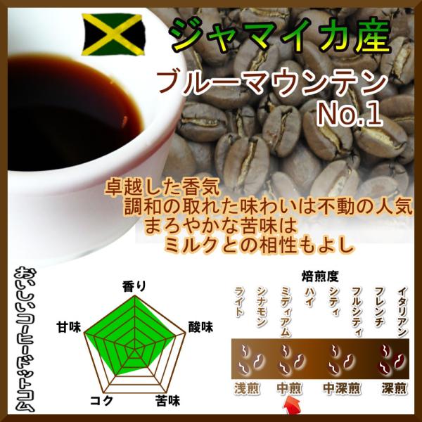 コーヒー豆 ジャマイカ産 ブルーマウンテン No.1 100g 豆のまま ブルマン 中煎 ミディアム...