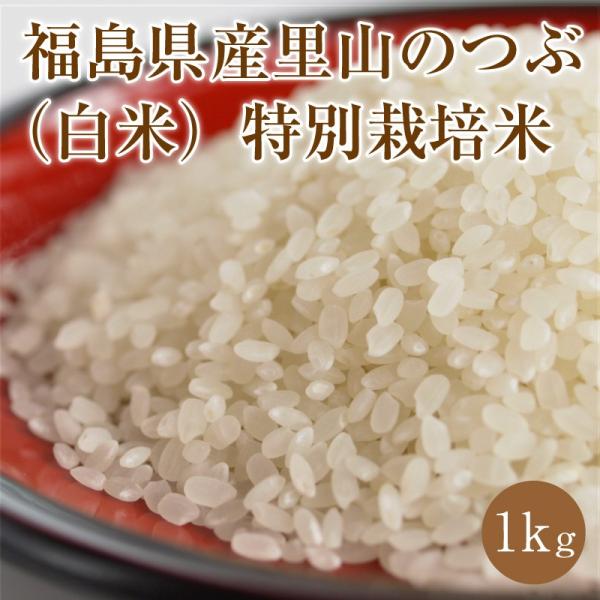 福島県産里山のつぶ（白米）特別栽培米