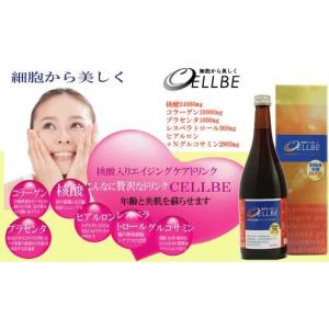 正規品 エピステーム ステムサイエンスドリンク10mL×10本 episteme