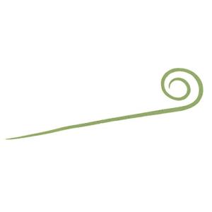 ダイワ DAIWA リールケース 紅牙 シリコンネクタイ 中井チューン STCスリム 海藻グリーンの商品画像