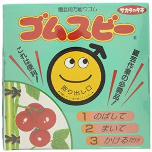 サカタのタネ ゴムスビー 500gの商品画像