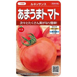 サカタのタネ 実咲野菜0004 あまうまトマト ルネッサンス 00920004の商品画像