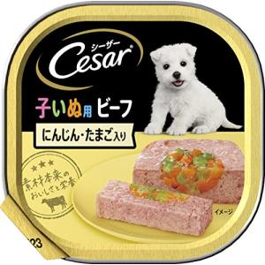 シーザー 2ヶ月からの子いぬ用 ビーフにんじん&たまご入り 100g×24個 ドッグフードウェットの商品画像