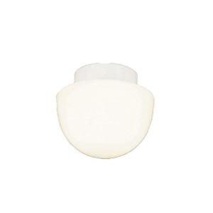 オーデリック バスルームライト 白熱灯50W相当 電球色 (取付工事必要) SH9011LDの商品画像