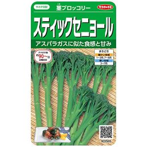 サカタのタネ 実咲野菜2505 スティックセニョール 茎ブロッコリー 00922505の商品画像