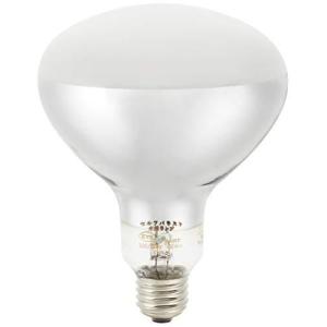 岩崎電気 アイ セルフバラスト水銀ランプ BHRF200/220V160WH - 最安値