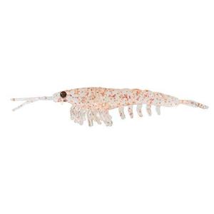 NIKKO KASEI (ニッコー化成) ニッコー化成 スーパーオキアミ （L） 089