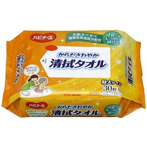 ハビナース 清拭タオル 30枚の商品画像