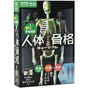 学研_人体骨格ミュージアム J750737 - 最安値・価格比較 - Yahoo
