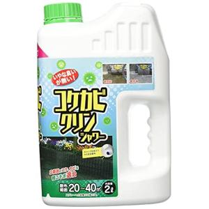 中島商事 トヨチューコケカビクリンシャワー2Lの商品画像