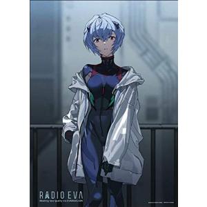 ジグソーパズル ＲＡＤＩＯ ＥＶＡ Ｉｌｌｕｓｔｒａｔｉｏｎ ０５ アヤナミレイ 500ピース (38x53cm)の商品画像