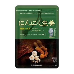 健康家族】 にんにく生姜 31粒入 九州産 温活成分 「ショウガオール