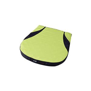 西川 (Nishikawa) [エアー] エアー ポータブル クッション 40X40cm (S