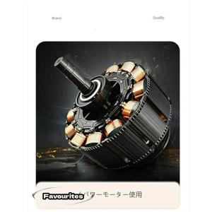 【先着100名限定5780円】【日本語説明書付...の詳細画像2