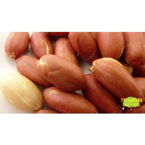 味付け落花生 1kg ピーナッツの詳細画像4