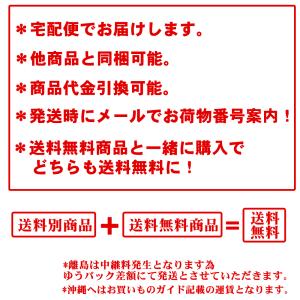 ドライマンゴー(フィリピン産)500g【送料無料】の詳細画像1